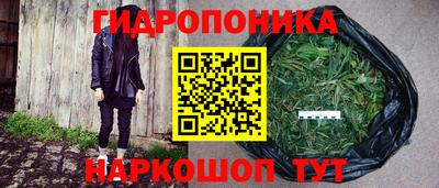 экстази Гай