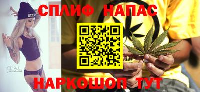 ешки Гагарин