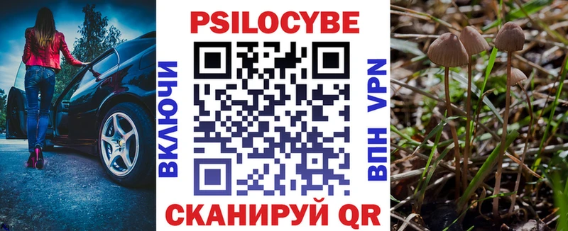 магазин  наркотиков  Каменск-Уральский  Псилоцибиновые грибы Cubensis 