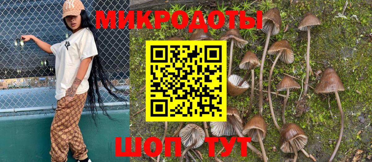 Каменск-Уральский  Псилоцибиновые грибы Cubensis  Вход с VPN 