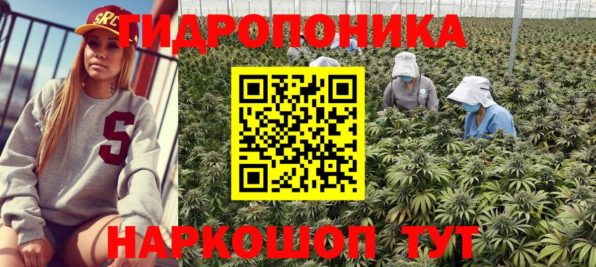 Канабис Amnesia  Шишки марихуана планчик  Марихуана конопля  Каменск-Уральский  Вход с VPN 